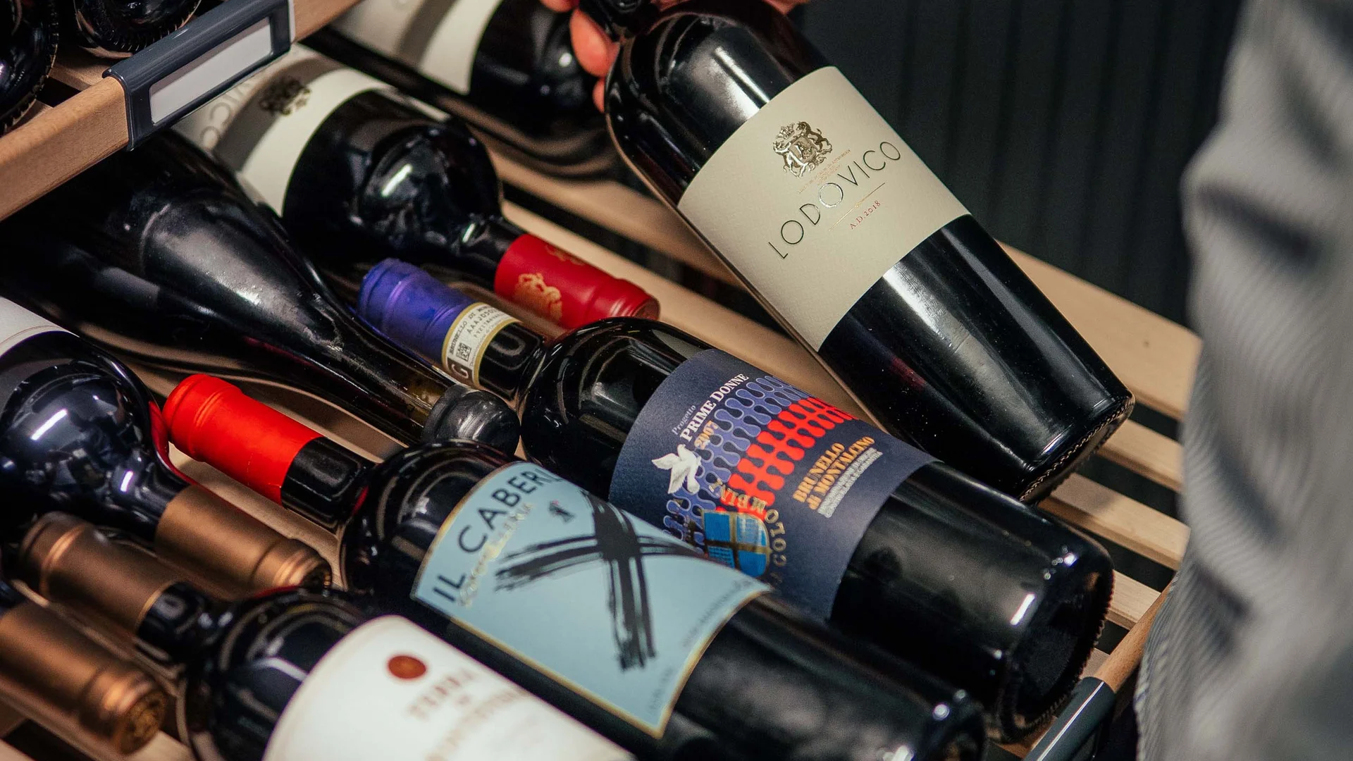 Mano che prende una bottiglia di vino da un frigorifero per vini con più bottiglie
