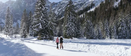 Due persone camminano in un bosco innevato ai piedi di montagne coperte di neve