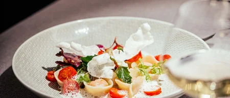 Fein angerichtete Pasta mit Tomaten, Blättern und Schaum auf weißem Teller