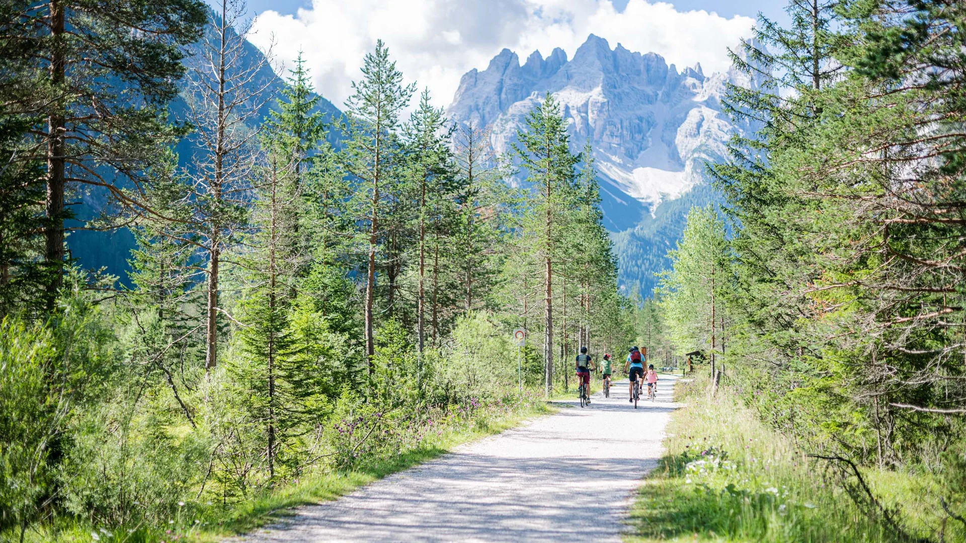 Famiglia in bicicletta su sentiero nel bosco con montagne sullo sfondo