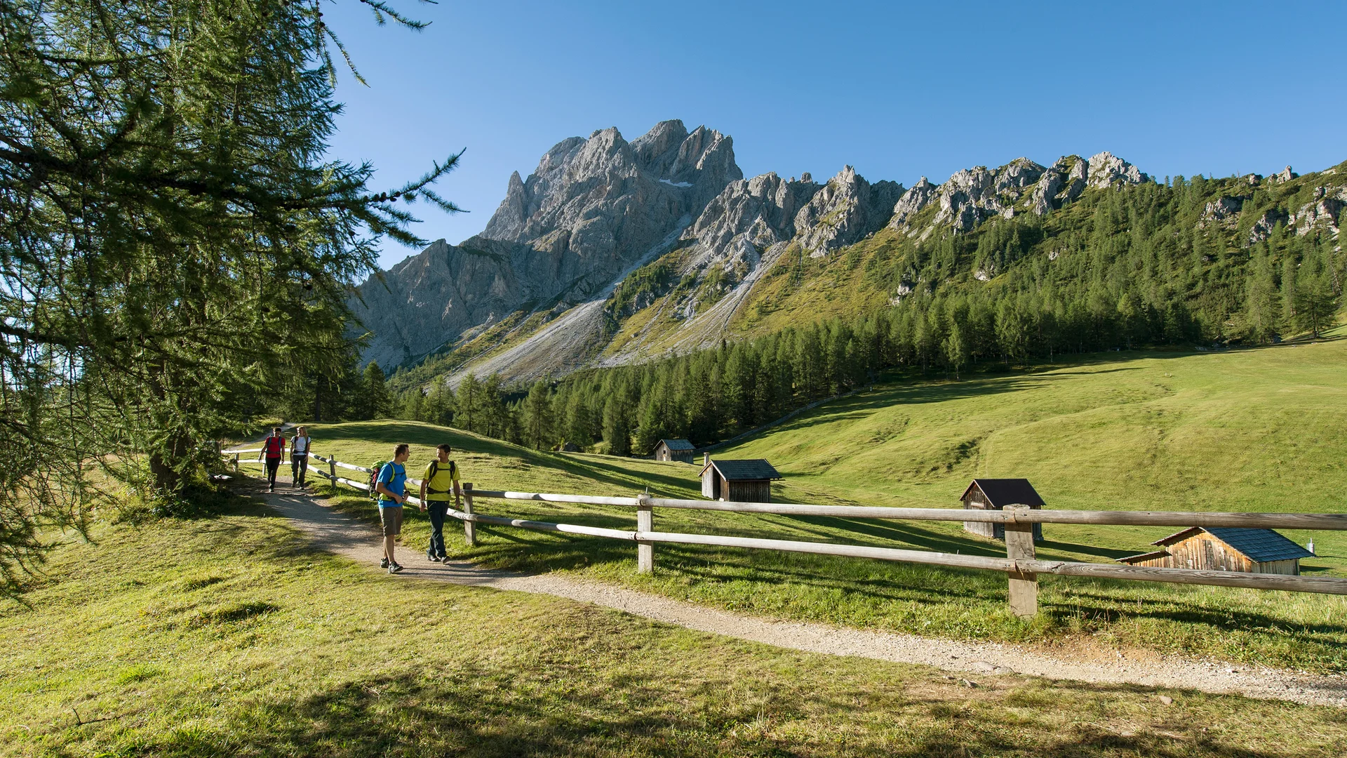 Escursionisti su sentiero con montagne e prati verdi al sole